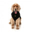 Bestickter Hundepullover FuzzYard Smiley in Schwarz