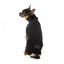 Bestickter Hundepullover FuzzYard Smiley in Schwarz