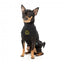 Bestickter Hundepullover FuzzYard Smiley in Schwarz