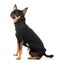 Bestickter Hundepullover FuzzYard Smiley in Schwarz