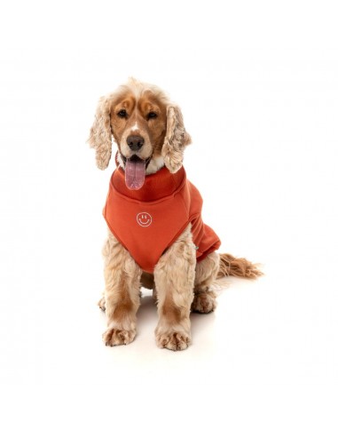 Bestickter Hundepullover FuzzYard Smiley in Rostrot