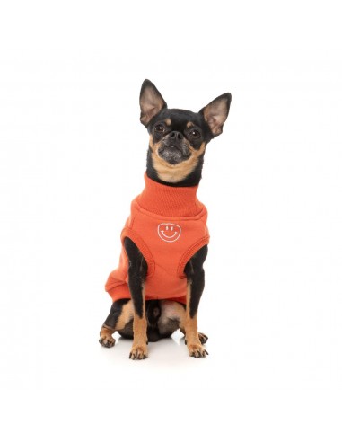Bestickter Hundepullover FuzzYard Smiley in Rostrot