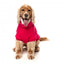 Rollkragen-Hundepullover FuzzYard Stevie 25 Magenta