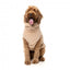 FuzzYard Turtle Teddy 25 Desert Tan Hundepullover (Größe 1)