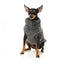 Hundepullover FuzzYard Turtle Teddy Anthrazit