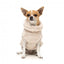 Hundepullover FuzzYard Turtle Teddy Beige