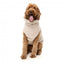 Hundepullover FuzzYard Turtle Teddy Beige