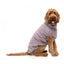 Hundepullover FuzzYard Turtle Teddy Lavendel