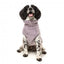 Hundepullover FuzzYard Turtle Teddy Lavendel