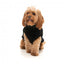Hundepullover FuzzYard Turtle Teddy Schwarz