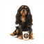 Plüsch-Hundespielzeug FuzzYard Barkrista Puppuccino als Kaffeebecher