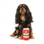 Plüschspielzeug für Hunde FuzzYard Bierdose Dog Beer mit Quietscher