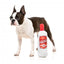 FuzzYard Kuscheltier Hund Flasche Pawdka