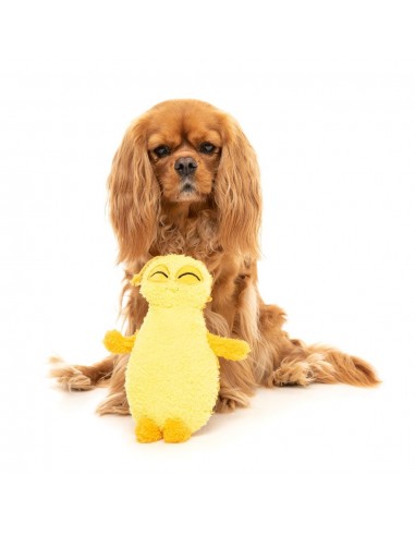 Plüschspielzeug für Hunde FuzzYard Bettwanze Belly in Gelb mit Quietscher