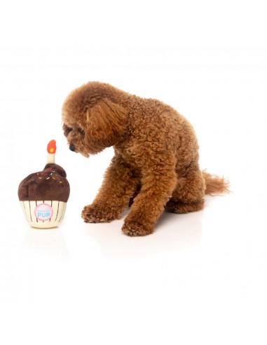 Plüschspielzeug für Hunde FuzzYard Geburtstags-Cupcake mit Quietscher