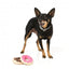 Plüschspielzeug für Hunde FuzzYard Donut, 2er-Set