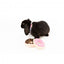 Plüschspielzeug für Hunde FuzzYard Donut, 2er-Set