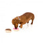 Plüschspielzeug für Hunde FuzzYard Donut, 2er-Set
