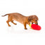FuzzYard Pommes Plüschspielzeug für Hunde mit Quietscher