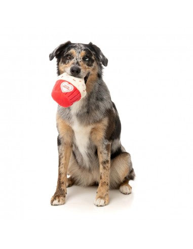 Plüschspielzeug für Hunde FuzzYard Cupcake You're Pawsome mit Quietscher