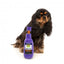 Halloween-Plüschspielzeug für Hunde FuzzYard Monster Pale Ale, 3er-Set