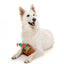 FuzzYard Christmas Brandy Weihnachts-Plüschspielzeug für Hunde