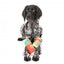 FuzzYard Christmas Seltzers Weihnachts-Plüschspielzeug für Hunde, 2er-Pack