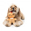 FuzzYard Doughlila Weihnachts-Kuscheltier für Hunde (Größe S)