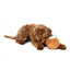 FuzzYard Hey Puddin' Weihnachts-Kuscheltier für Hunde (Größe S)
