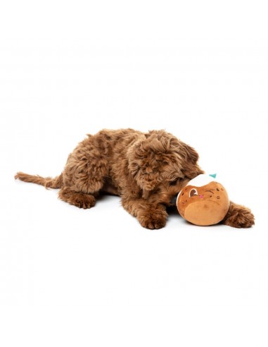 FuzzYard Hey Puddin' Weihnachts-Kuscheltier für Hunde (Größe S)