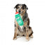 Weihnachts-Hundespielzeug Plüsch FuzzYard Jolly Old St Pickl-ous