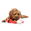 Weihnachts-Hundespielzeug aus Plüsch FuzzYard Saint Neckolas in Weihnachtsmann-Form