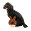 Oster-Plüschspielzeug für Hunde FuzzYard Big Bunny Donut