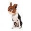 Oster-Plüschspielzeug für Hunde FuzzYard Big Bunny Donut
