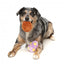 Plüsch-Ostereier für Hunde FuzzYard, 2er-Set