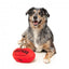 Plüschspielzeug für Hunde FuzzYard Aussie-Football-Ball mit Quietscher
