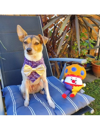 Plüschspielzeug für Hunde FuzzYard Fun Guys Giggles Mushroom mit Quietscher