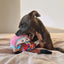 Plüschspielzeug für Hunde FuzzYard Fun Guys Rainbow Mushroom mit Quietscher