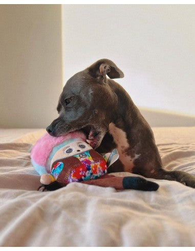 Plüschspielzeug für Hunde FuzzYard Fun Guys Rainbow Mushroom mit Quietscher