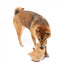 Kuscheltier für Hunde FuzzYard Happybaras Capy-Ccino mit Quietscher