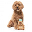 Kuscheltier für Hunde FuzzYard Happybaras Capy-Ccino mit Quietscher