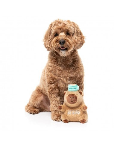 Kuscheltier für Hunde FuzzYard Happybaras Capy-Ccino mit Quietscher