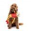 Kuscheltier für Hunde FuzzYard Lankies Lewis The Drift-Tah