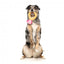 FuzzYard Love Diamond In The Ruff Ring Plüschspielzeug für Hunde, Diamantring