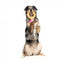 FuzzYard Love Diamond In The Ruff Ring Plüschspielzeug für Hunde, Diamantring