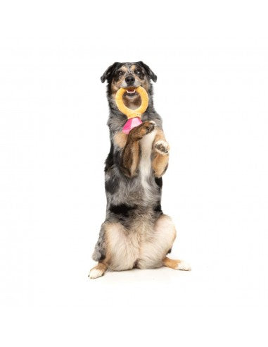 FuzzYard Love Diamond In The Ruff Ring Plüschspielzeug für Hunde, Diamantring