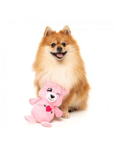 FuzzYard Love Nothing Butt Love Bear Plüschspielzeug für Hunde, Teddybär