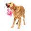 FuzzYard Love Tail Chaser Perfume Plüschspielzeug für Hunde, Parfümflakon