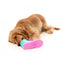 FuzzYard Fresh Kicks n' Licks 3-in-1 Intelligenzspielzeug für Hunde