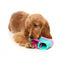 FuzzYard Fresh Kicks n' Licks 3-in-1 Intelligenzspielzeug für Hunde